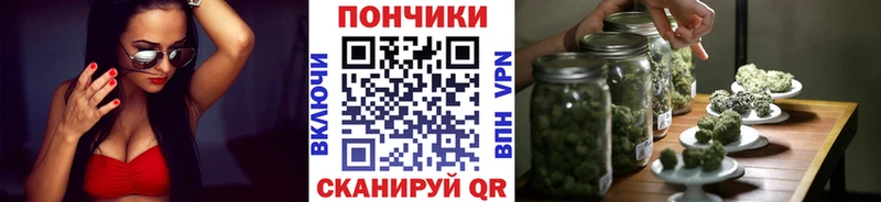 Купить закладку ГАШ  Каннабис  A PVP  МЕФ  Кокаин  Пустошка